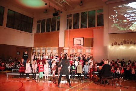 Božično-novoletni koncert Osnovne šole Toma Brejca  (63)